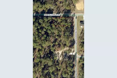 Tbd NW Redwood Drive, Dunnellon, FL 34431 - Photo 1