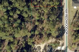 Tbd NW Redwood Dr, Dunnellon, FL 34431 - Photo 1