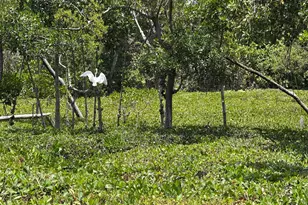 225 N Lakeshore Dr, Hypoluxo, FL 33462 - Photo 74