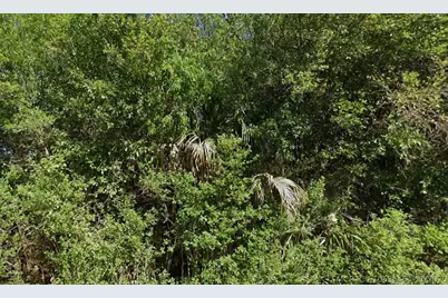 4702 Vera Avenue, Lehigh Acres, FL 33971 - Photo 4