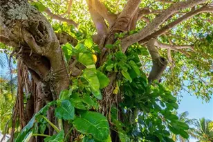 3901 SE St Lucie Blvd, Stuart, FL 34997 - Photo 24