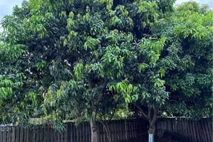 160 SE Lakehurst Dr, Port Saint Lucie, FL 34983 - Photo 10