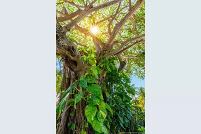 3901 SE Saint Lucie Boulevard #44, Stuart, FL 34997 - Photo 50