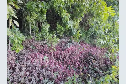 2315 SW Chestnut Lane, Port Saint Lucie, FL 34953 - Photo 10