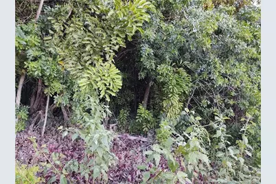 2315 SW Chestnut Lane, Port Saint Lucie, FL 34953 - Photo 14