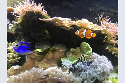 4210 Gator Trace Avenue #B, Fort Pierce, FL 34982 - Photo 46