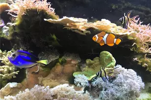 4210 Gator Trace Ave, Fort Pierce, FL 34982 - Photo 46