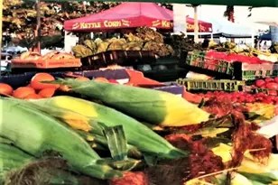 4210 Gator Trace Ave, Fort Pierce, FL 34982 - Photo 34