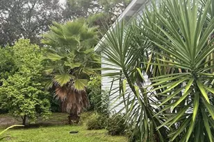 2555 Pga Blvd, Palm Beach Gardens, FL 33410 - Photo 40