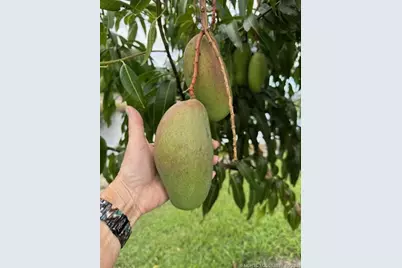 4881 SW Parkgate Boulevard, Palm City, FL 34990 - Photo 84