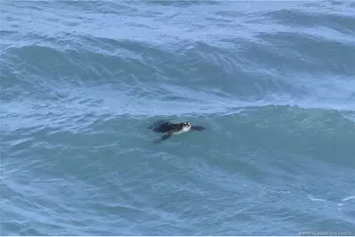 7380 S Ocean Drive #621, Jensen Beach, FL 34957 - Photo 46