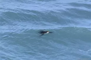 7380 S Ocean Dr, Jensen Beach, FL 34957 - Photo 46