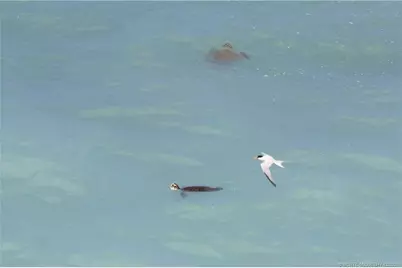 7380 S Ocean Drive #621, Jensen Beach, FL 34957 - Photo 22