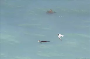 7380 S Ocean Dr, Jensen Beach, FL 34957 - Photo 22