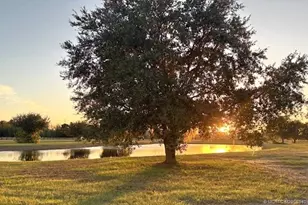 13559 22nd Ln, Okeechobee, FL 34974 - Photo 52