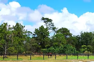 13559 22nd Ln, Okeechobee, FL 34974 - Photo 46