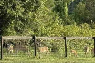 13559 22nd Ln, Okeechobee, FL 34974 - Photo 52