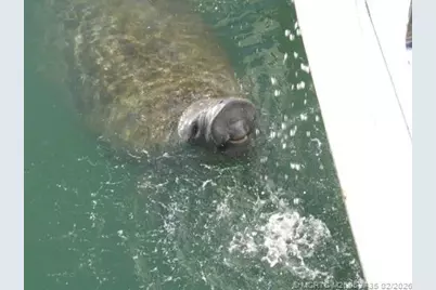 513 Gunwale Lane, Longboat Key, FL 34228 - Photo 42