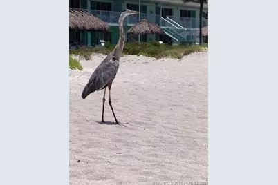 513 Gunwale Lane, Longboat Key, FL 34228 - Photo 40