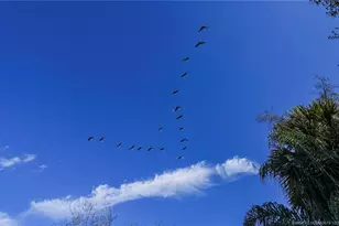 6235 US Hwy 98 N, Okeechobee, FL 34972 - Photo 12