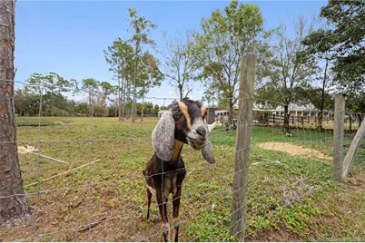 6347 SW Travers Street, Palm City, FL 34990 - Photo 54