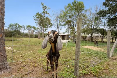 6347 SW Travers Street, Palm City, FL 34990 - Photo 54