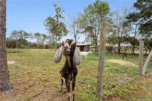 6347 SW Travers St, Palm City, FL 34990 - Photo 54