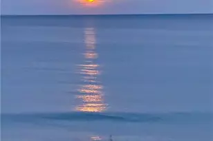 9960 S Ocean Dr, Jensen Beach, FL 34957 - Photo 42