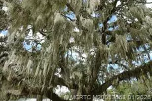 4 Miramar Rd, Stuart, FL 34996 - Photo 26