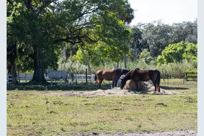 3121 Old Edwards Road, Fort Pierce, FL 34981 - Photo 8