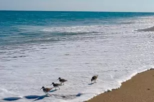 1225 NW 21st St, Stuart, FL 34994 - Photo 2