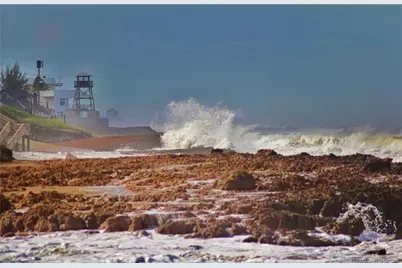 713 NW Waterlily Place, Jensen Beach, FL 34957 - Photo 36