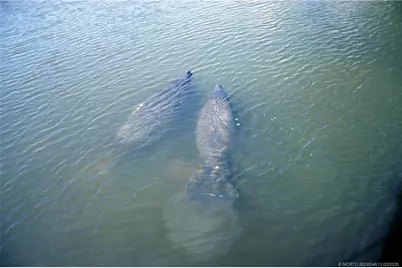 5248 SW Anhinga Avenue, Palm City, FL 34990 - Photo 8