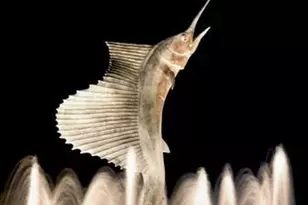 429 NE Tradewind Ln, Stuart, FL 34996 - Photo 16