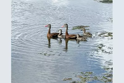 98 Spring Lake Drive #205, Vero Beach, FL 32962 - Photo 26
