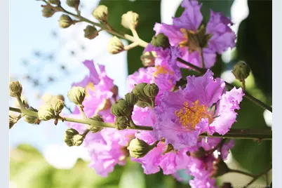 5263 SE Sweetbrier Terrace, Hobe Sound, FL 33455 - Photo 36