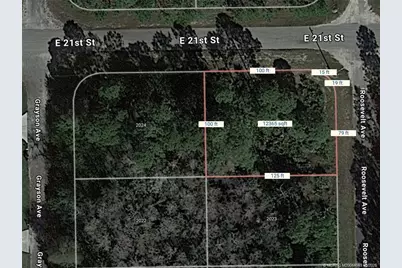 2025 Roosevelt Avenue, Alva, FL 33920 - Photo 2