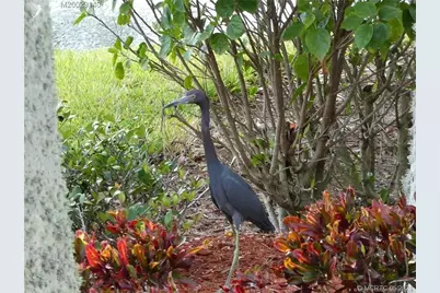 219 NW Chipshot Lane, Port Saint Lucie, FL 34986 - Photo 1