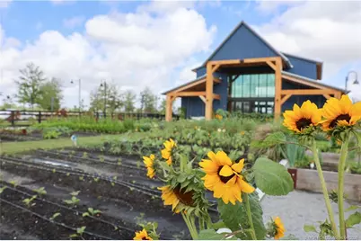 950 SW Prairie Avenue, Palm City, FL 34990 - Photo 48