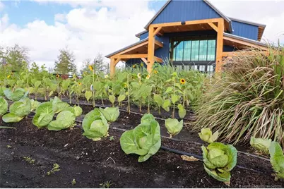 950 SW Prairie Avenue, Palm City, FL 34990 - Photo 50