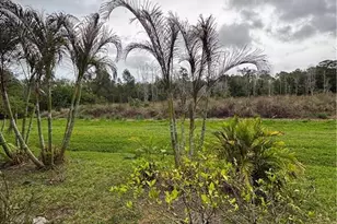 1509 SE Belcrest St, Port Saint Lucie, FL 34952 - Photo 20