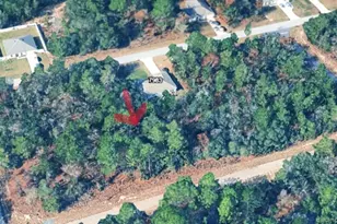 7970 N Bahama Terrace, Dunnellon, FL 34433 - Photo 1