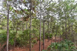 952 SE Willoughby Trace, Stuart, FL 34997 - Photo 24