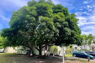 2508 NW 24th St, Boynton Beach, FL 33436 - Photo 22