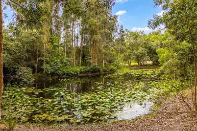 15884 North Road, Loxahatchee Groves, FL 33470 - Photo 32