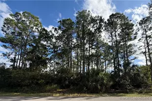 1115 Colonial Ave SE, Palm Bay, FL 32909 - Photo 1