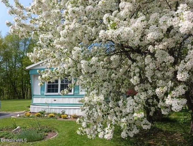 8 Cherokee Dr, Clarksburg, MA 01247