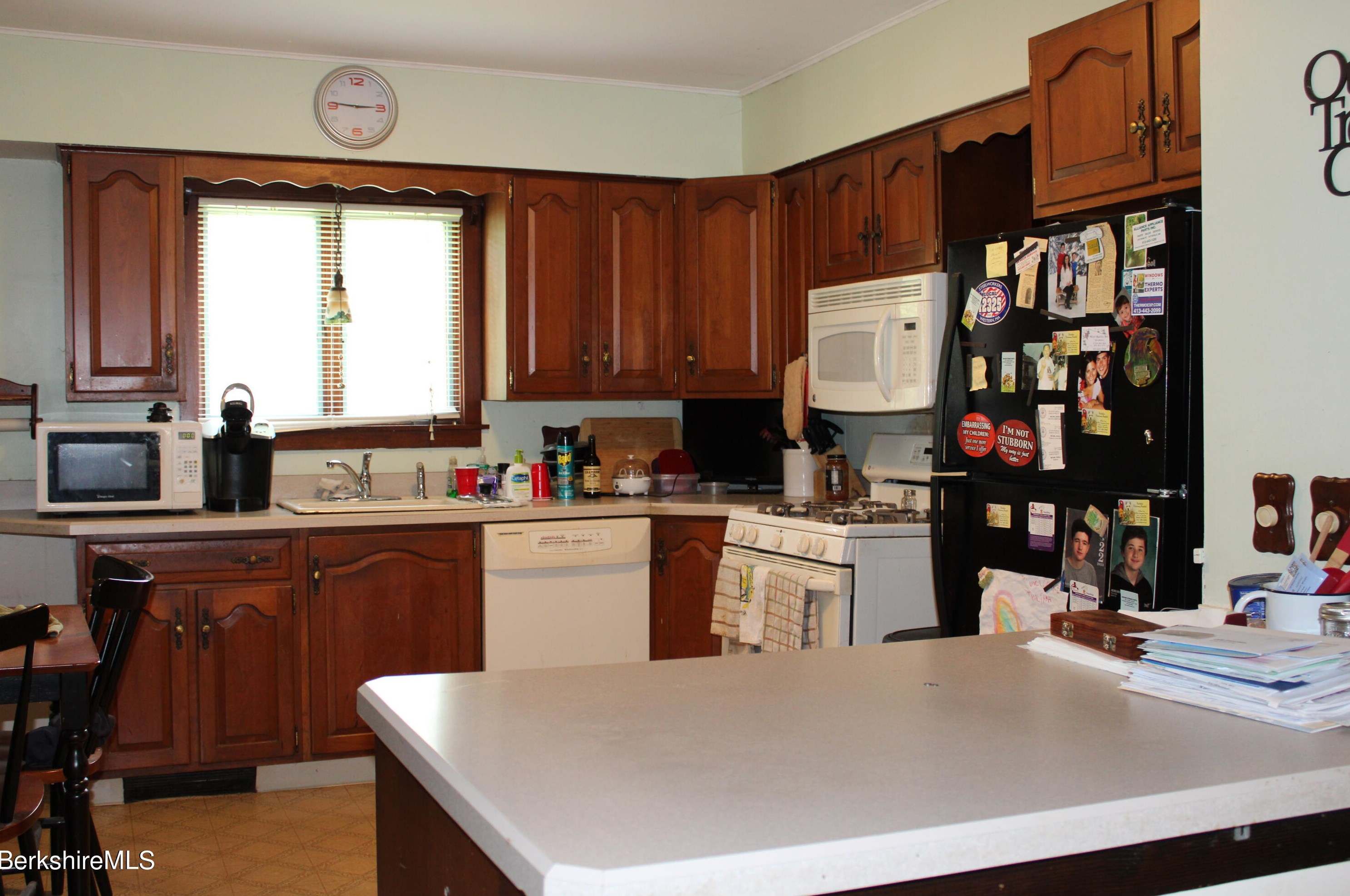 21 Elberon Ave, Pittsfield MA 01201-2838 exterior