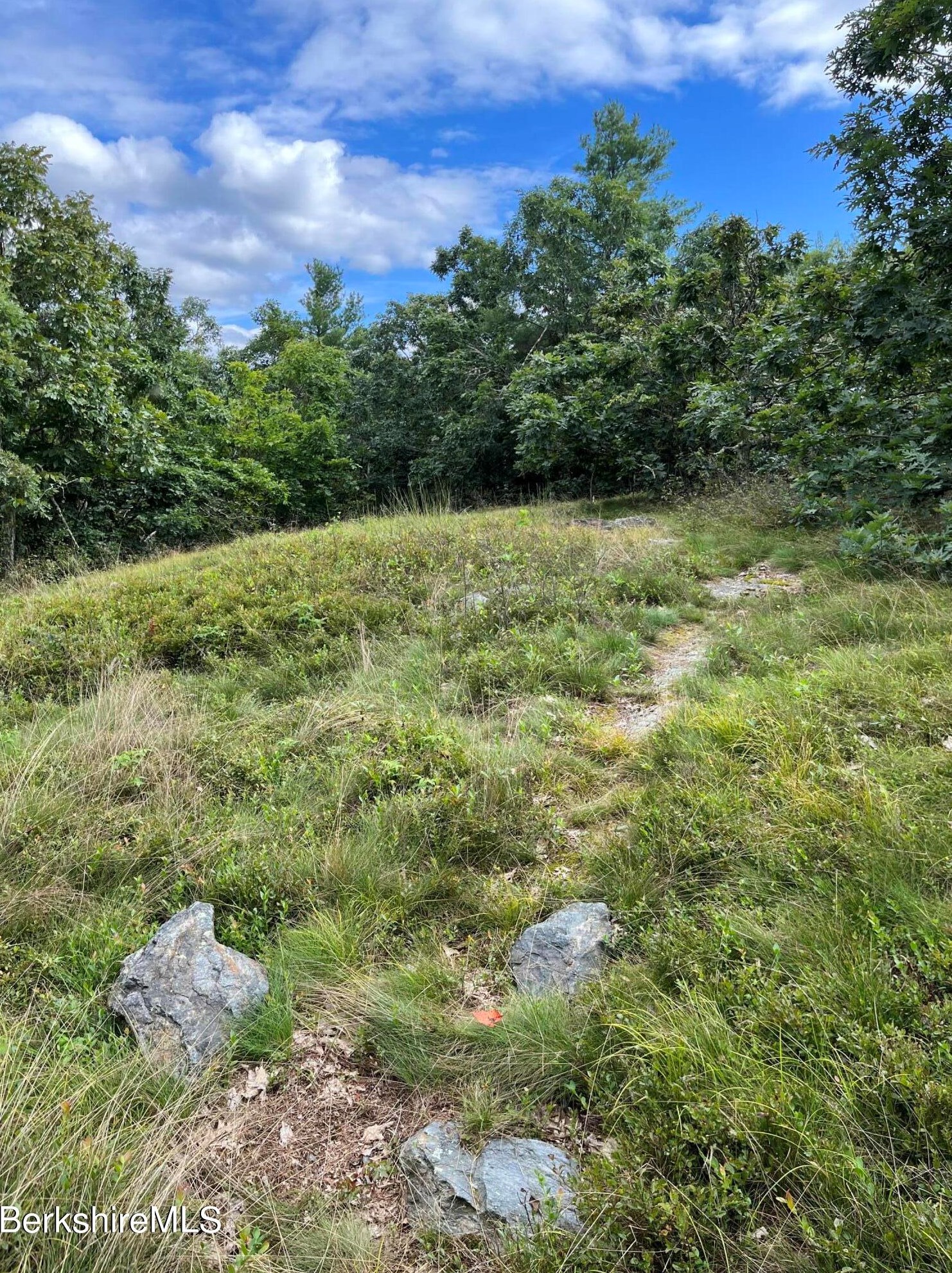 33 Birch Hl Rd, Alford MA 01266-9301 exterior