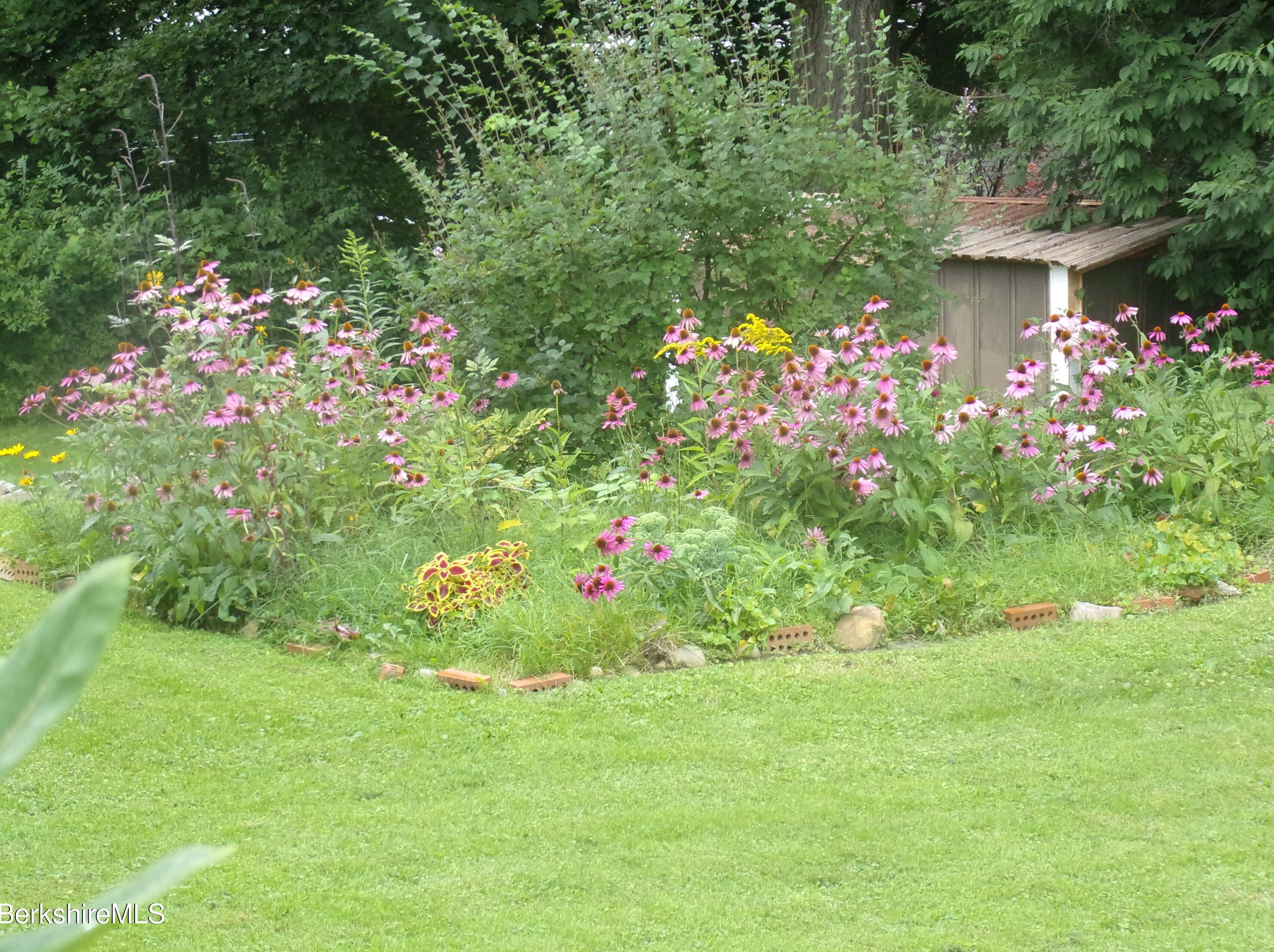 66 Hathaway St, Clarksburg MA 01247-2343 exterior